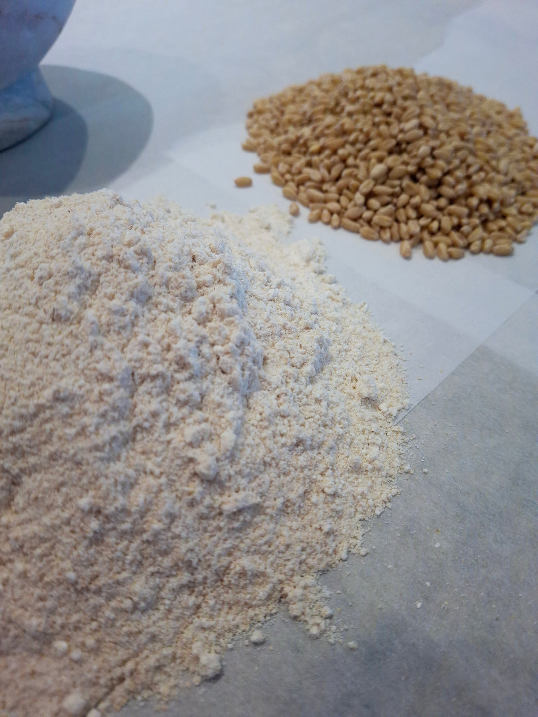 Freshly Milled Hard White Flour